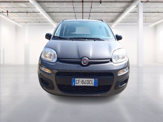 FIAT Panda 1.0 hybrid Easy s&s 70cv 1