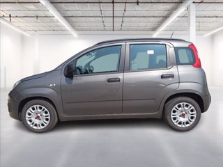 FIAT Panda 1.0 hybrid Easy s&s 70cv 3