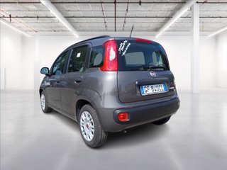 FIAT Panda 1.0 hybrid Easy s&s 70cv 4