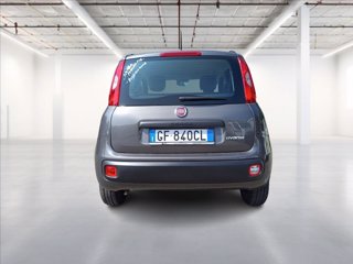 FIAT Panda 1.0 hybrid Easy s&s 70cv 5
