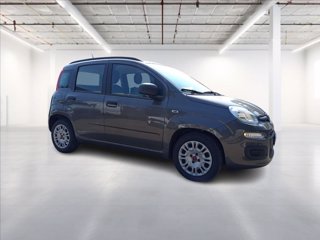 FIAT Panda 1.0 hybrid Easy s&s 70cv 7