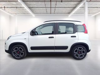 FIAT Panda 1.2 easypower City Life Gpl s&s 69cv 3