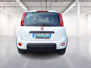 FIAT Panda 1.2 easypower City Life Gpl s&s 69cv 5