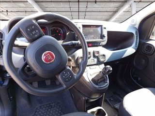 FIAT Panda 1.0 firefly hybrid Cross s&s 70cv 5p.ti 12