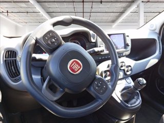 FIAT Panda 1.0 firefly hybrid City Life s&s 70cv 12