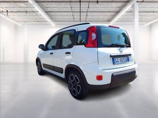 FIAT Panda 1.0 firefly hybrid City Life s&s 70cv 4