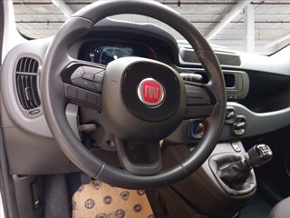 FIAT Panda 1.0 firefly hybrid s&s 70cv 12