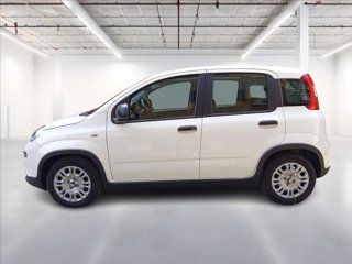 FIAT Panda 1.0 firefly hybrid s&s 70cv 3