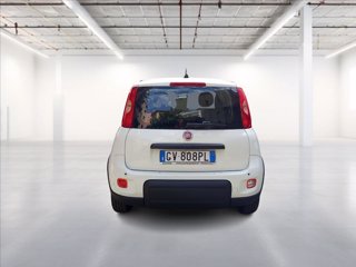 FIAT Panda 1.0 firefly hybrid s&s 70cv 5
