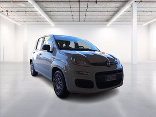 FIAT Panda 1.0 firefly hybrid s&s 70cv