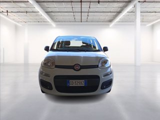 FIAT Panda 1.0 firefly hybrid s&s 70cv 1