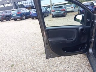 FIAT Panda 1.2 easypower Sport Gpl s&s 69cv 12