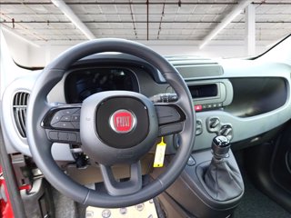 FIAT Pandina 1.0 firefly hybrid s&s 70cv 12